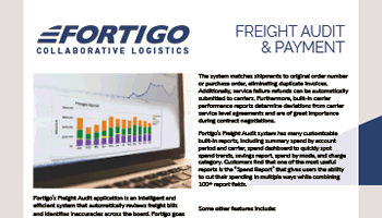 TFreight Audit Payments whitepaper screenshot