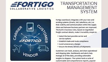 Transportation Management System whitepaper screenshot